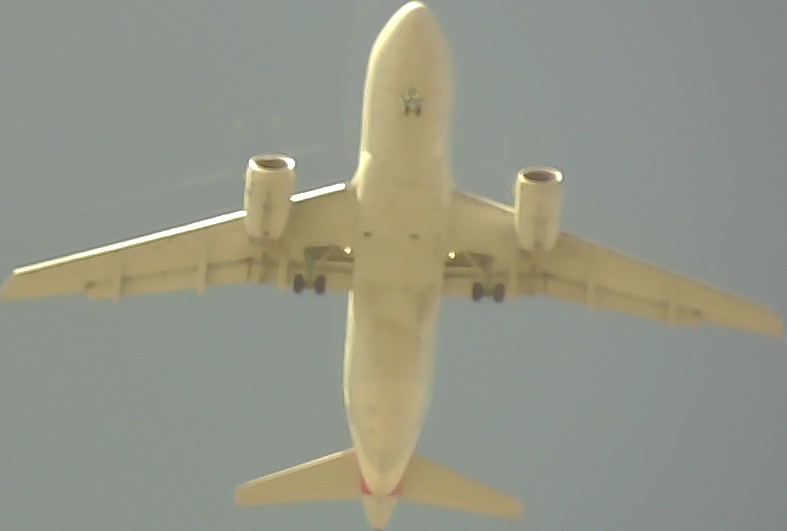 Airplane Picture