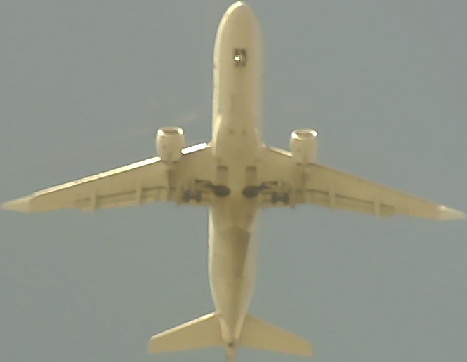 Airplane Picture