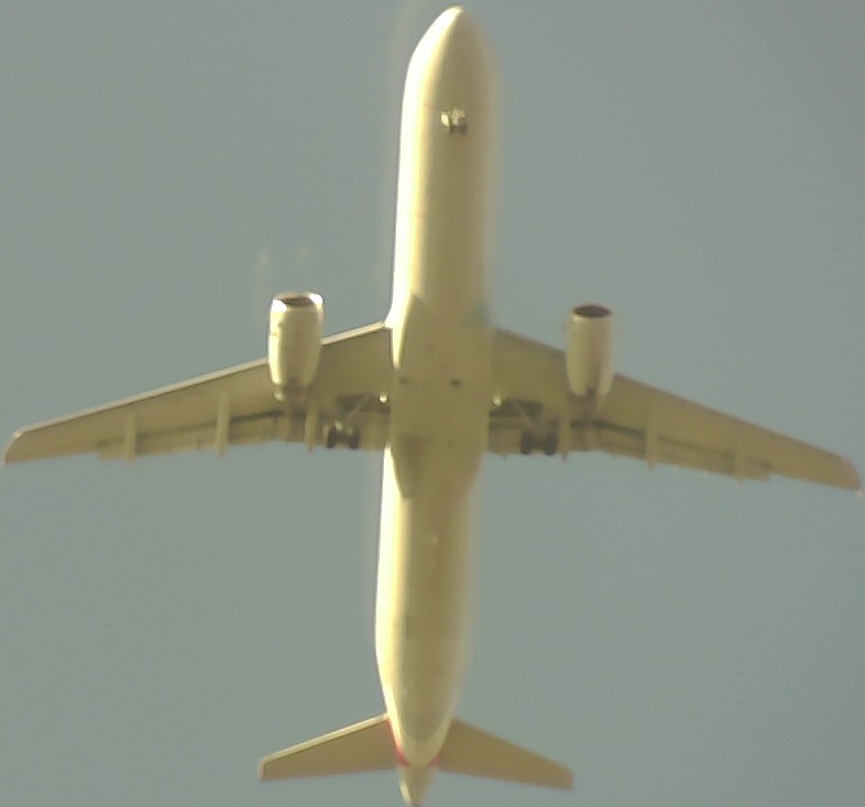 Airplane Picture