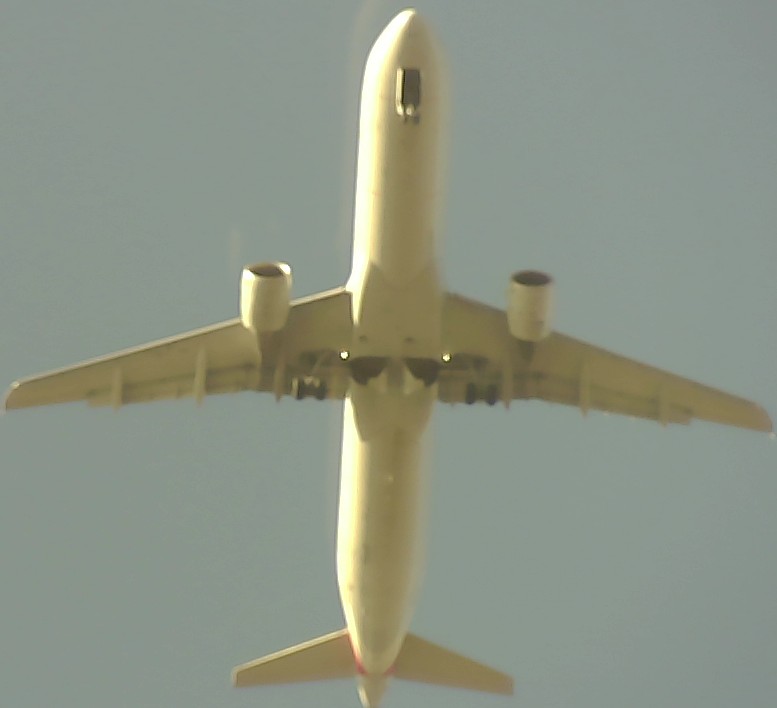 Airplane Picture