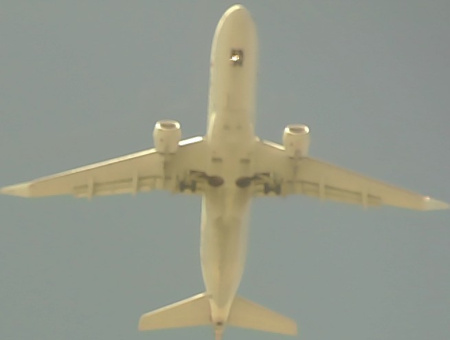Airplane Picture