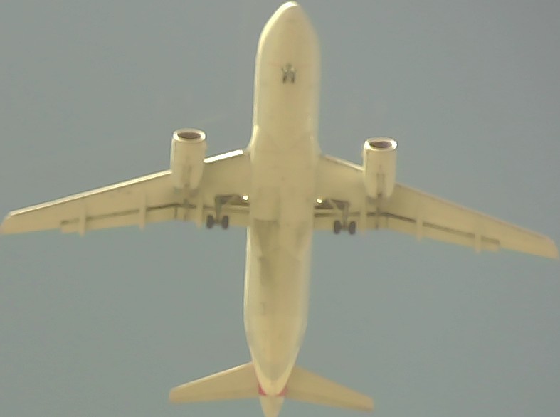 Airplane Picture