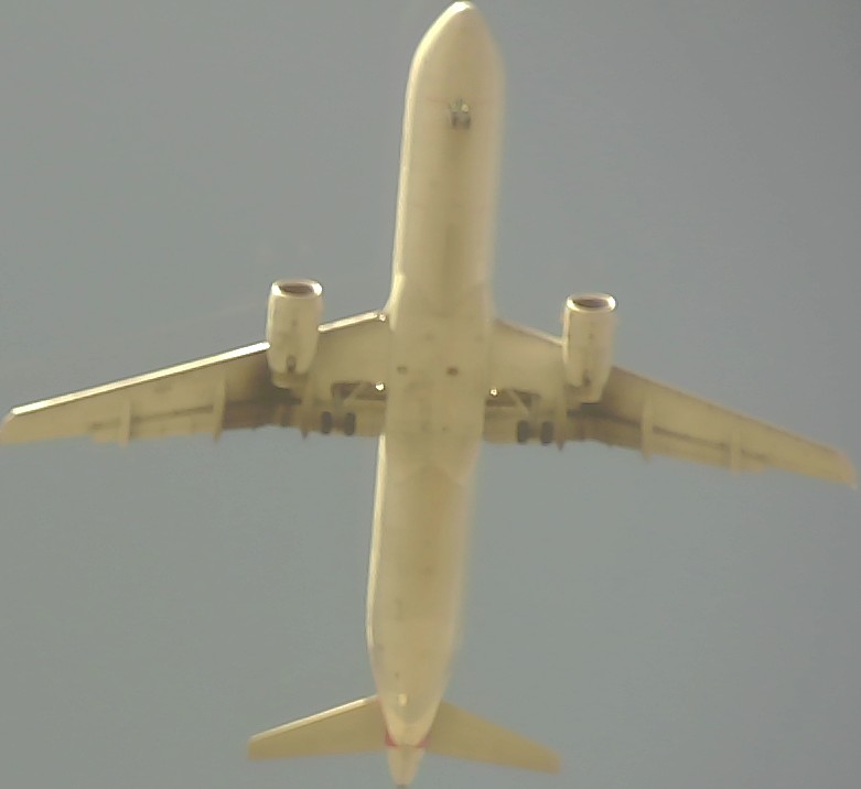 Airplane Picture