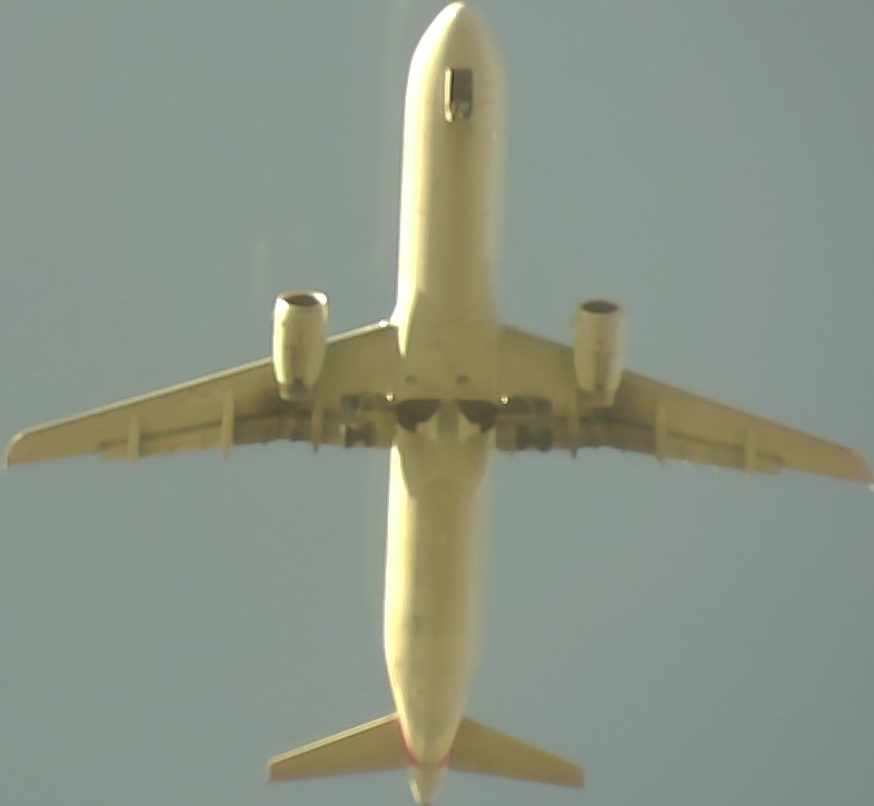Airplane Picture