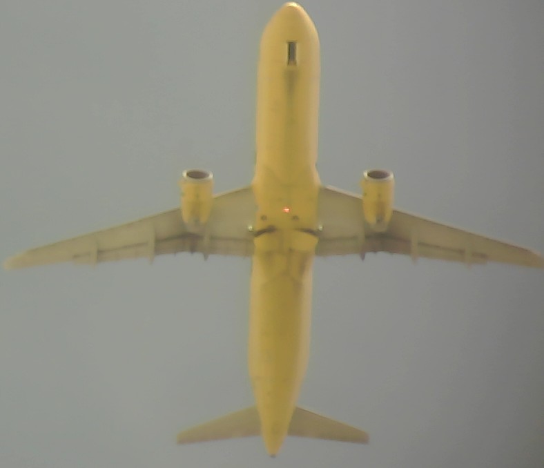 Airplane Picture