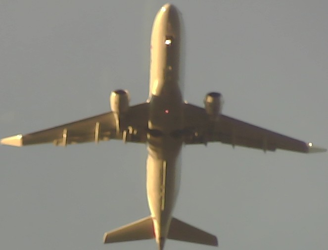 Airplane Picture