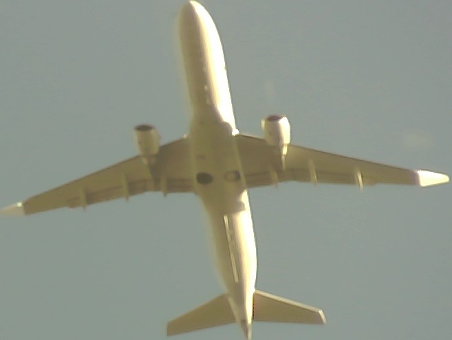 Airplane Picture