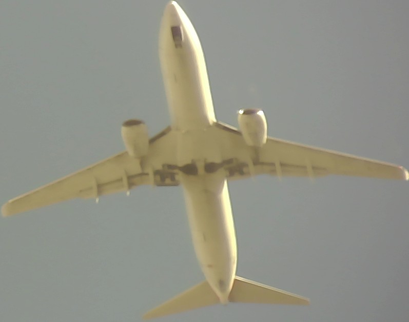Airplane Picture