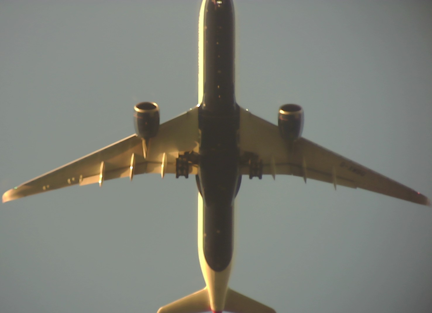 Airplane Picture