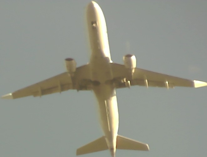 Airplane Picture