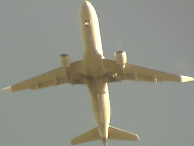Airplane Picture