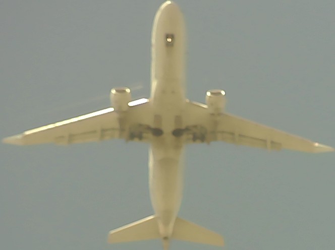 Airplane Picture