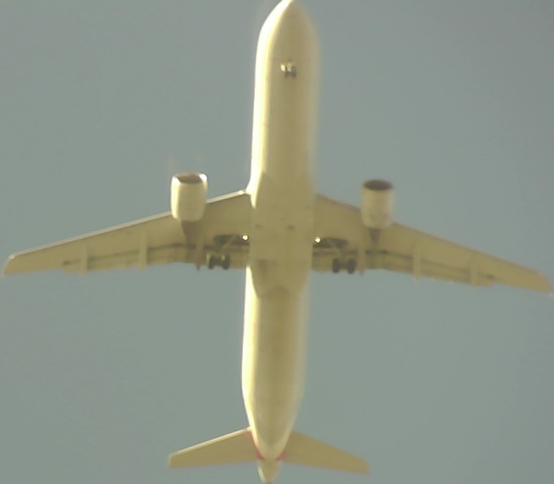 Airplane Picture