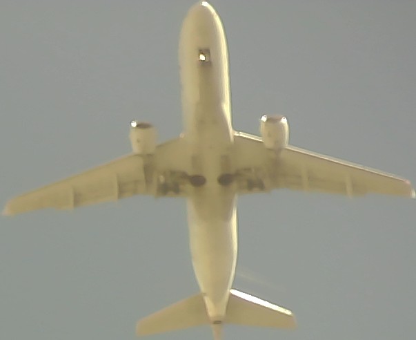 Airplane Picture