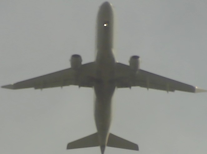 Airplane Picture