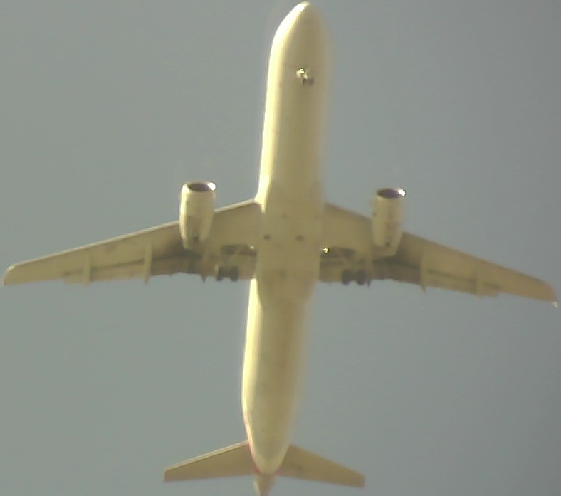 Airplane Picture