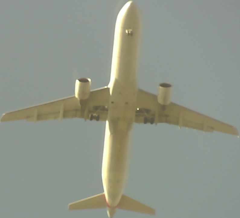 Airplane Picture