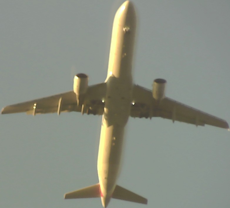 Airplane Picture