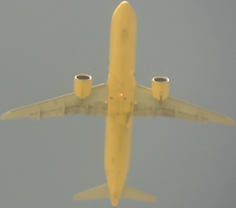 Airplane Picture