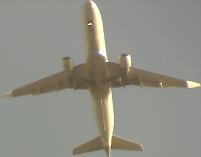 Airplane Picture