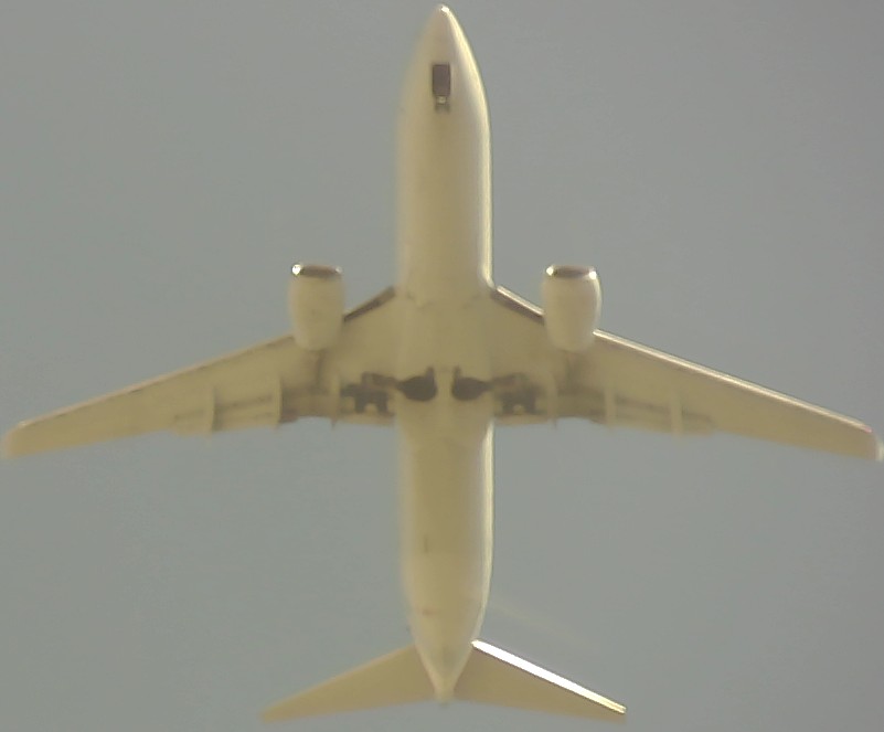 Airplane Picture