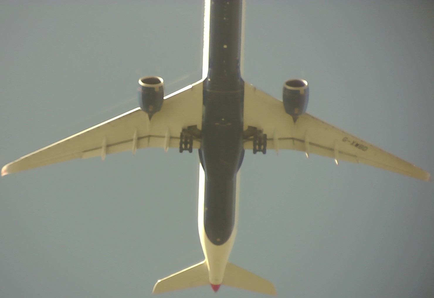 Airplane Picture