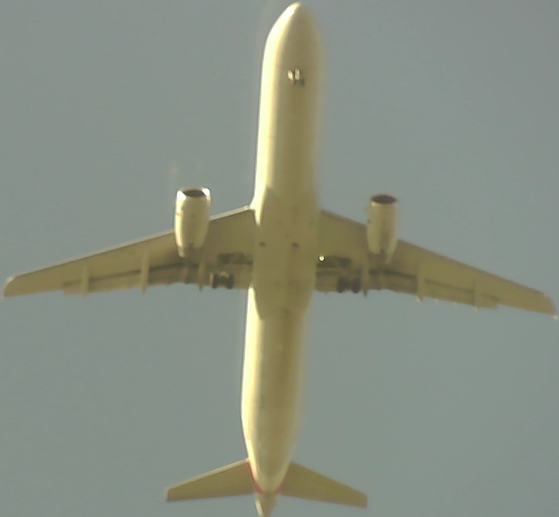 Airplane Picture