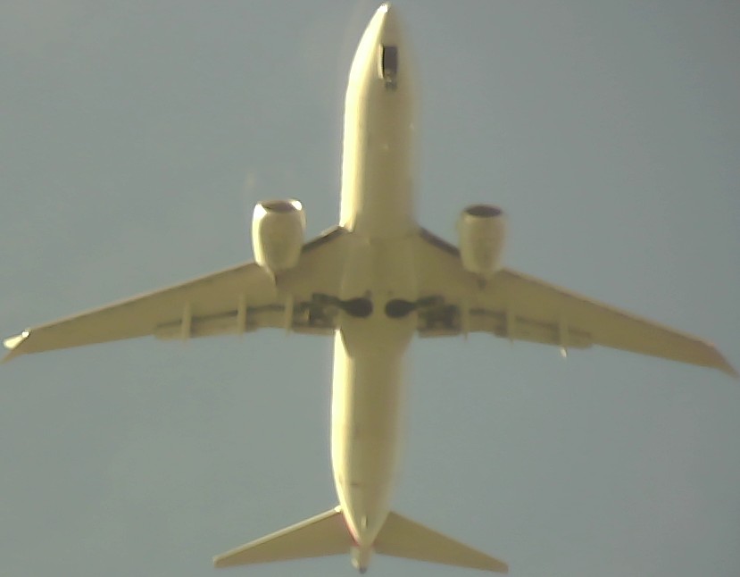 Airplane Picture