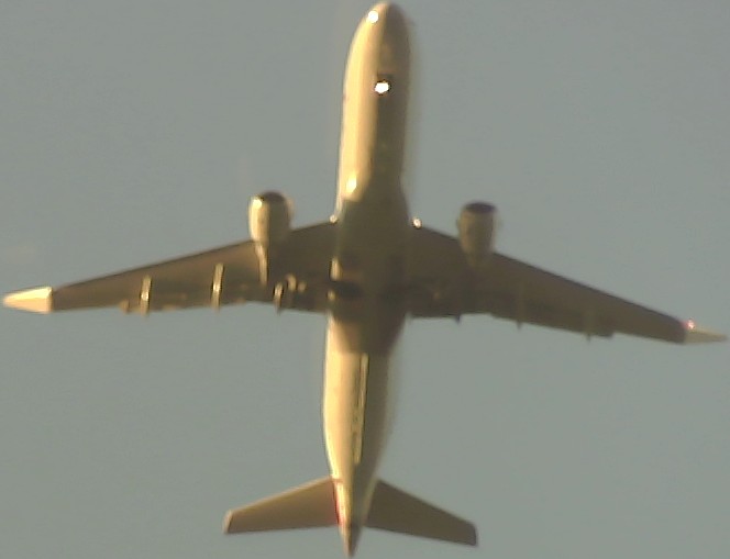 Airplane Picture