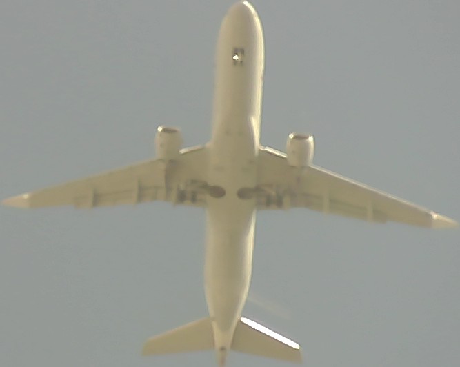 Airplane Picture