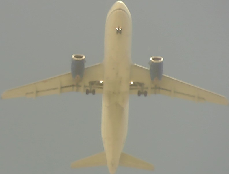 Airplane Picture