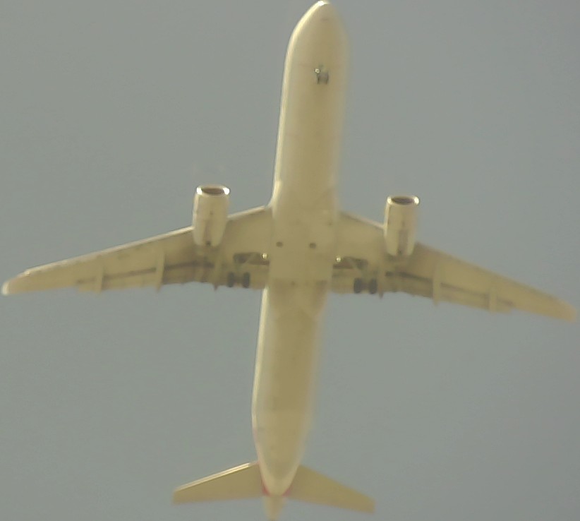 Airplane Picture