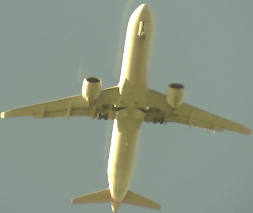 Airplane Picture