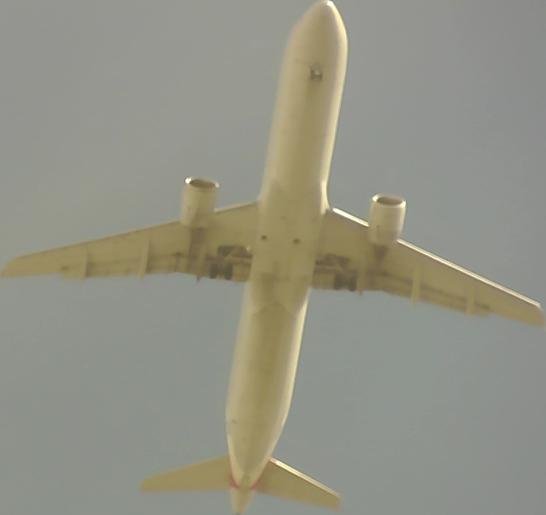 Airplane Picture