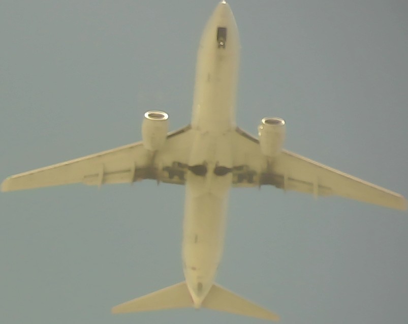 Airplane Picture
