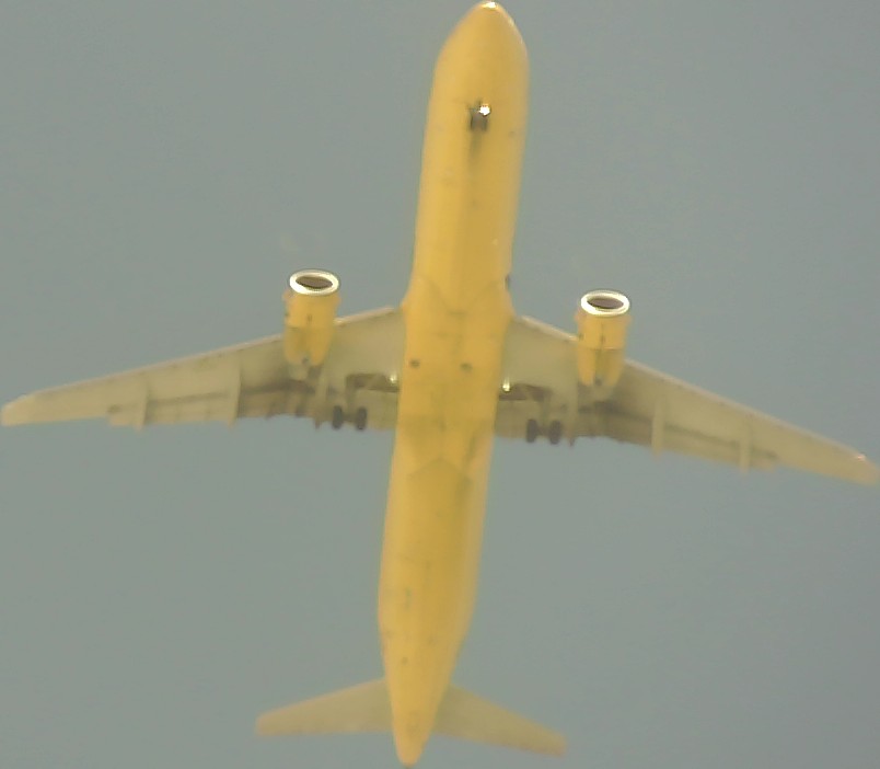 Airplane Picture