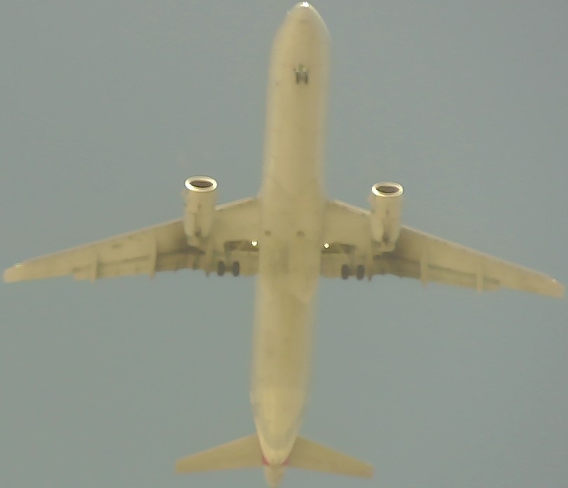 Airplane Picture