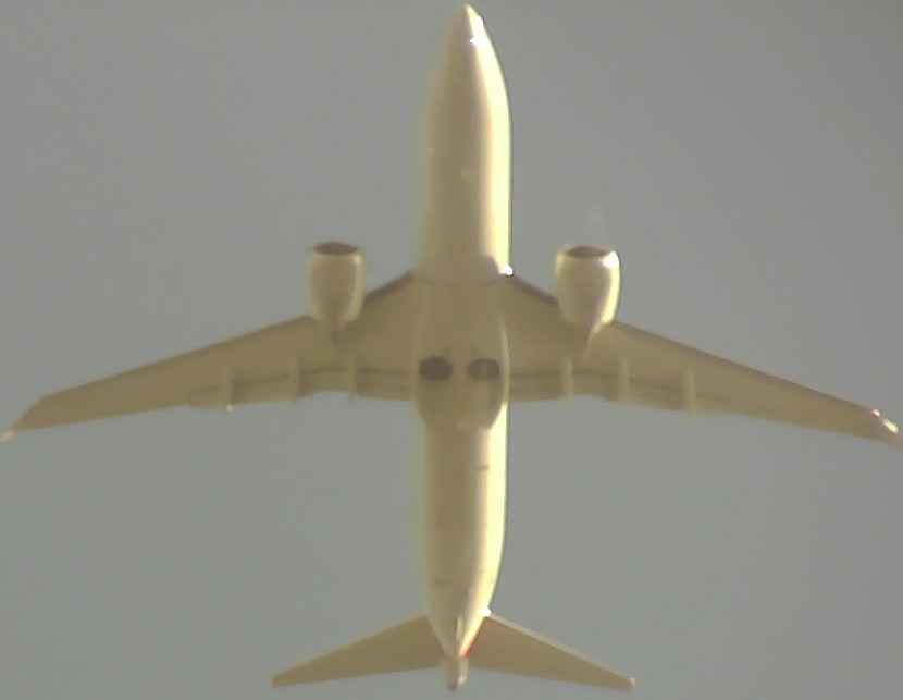 Airplane Picture