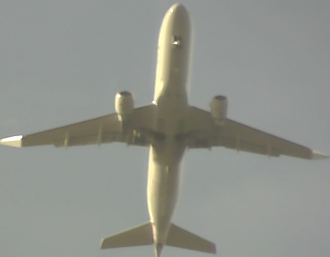 Airplane Picture