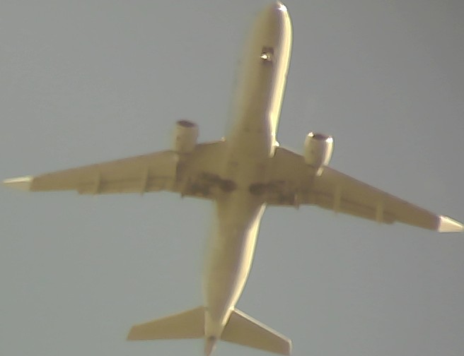 Airplane Picture