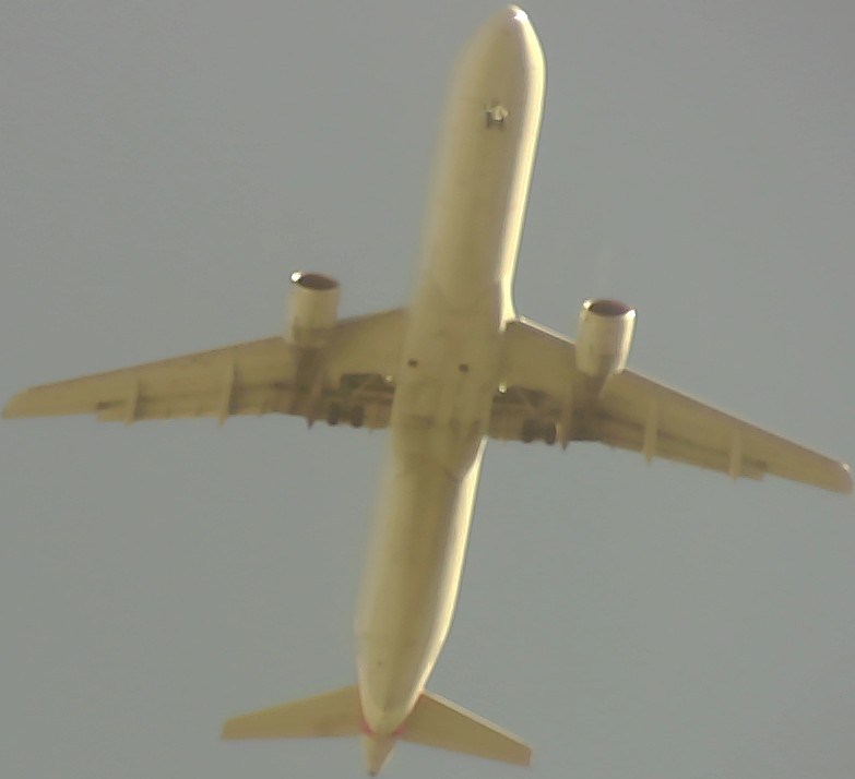 Airplane Picture