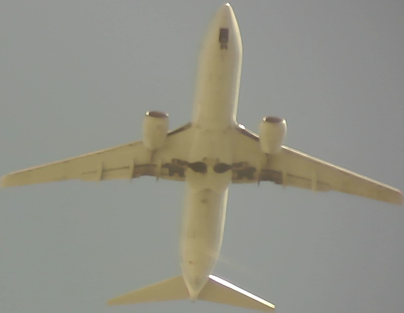 Airplane Picture