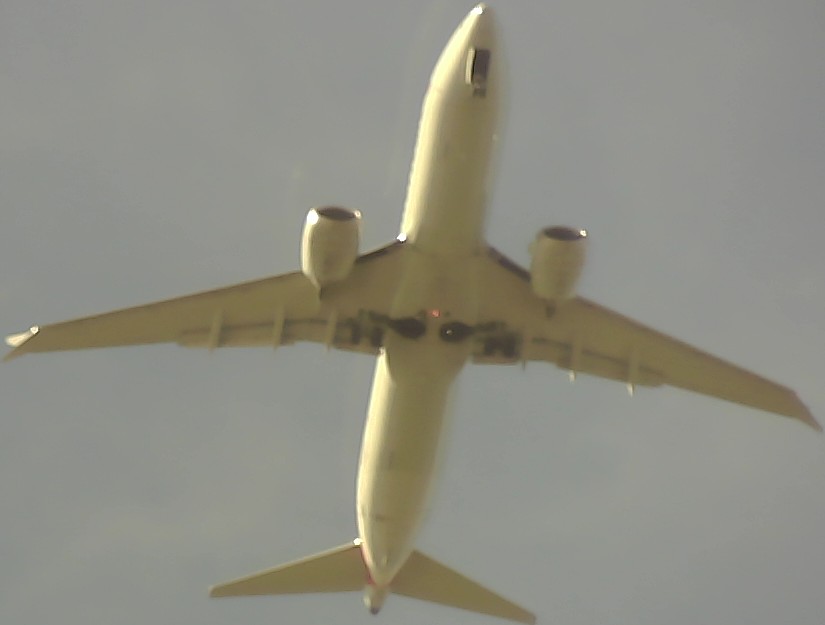 Airplane Picture