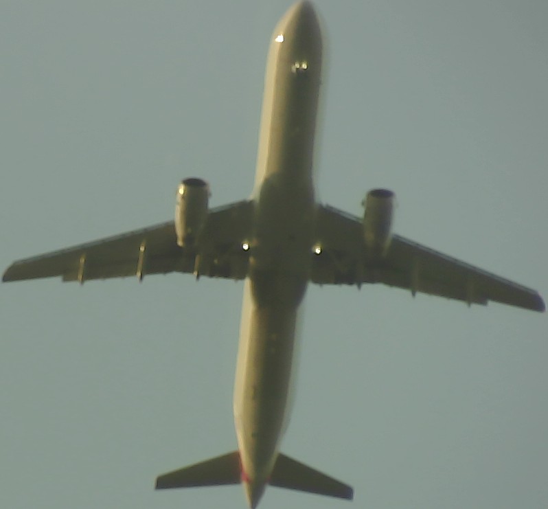 Airplane Picture
