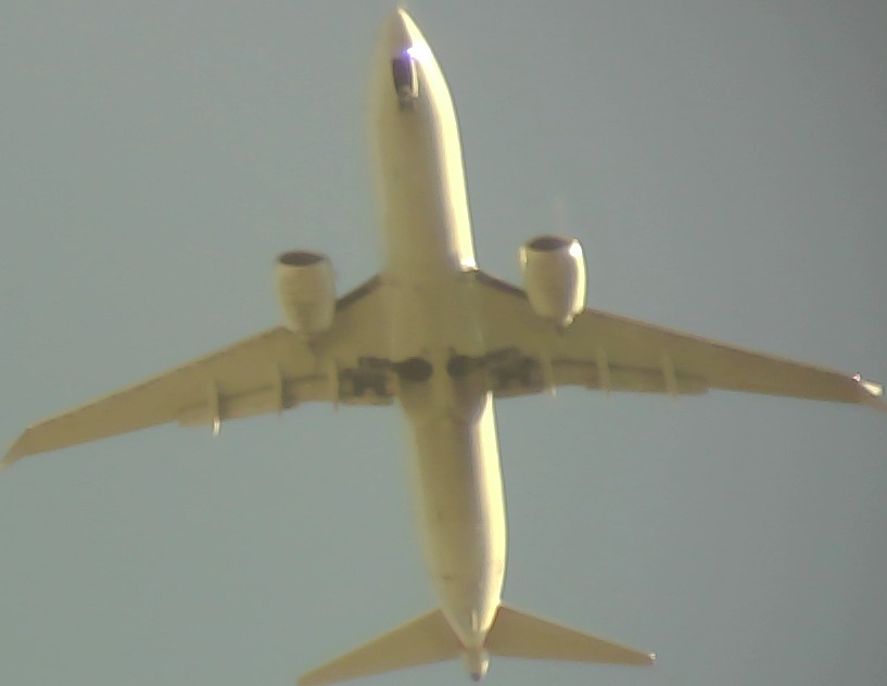 Airplane Picture