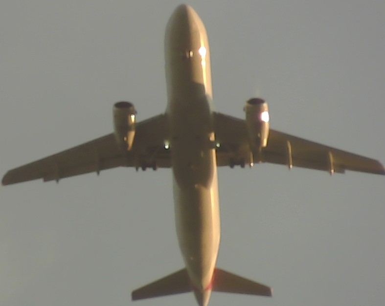 Airplane Picture