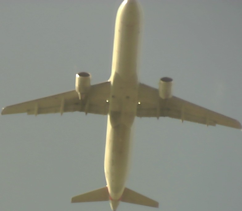 Airplane Picture