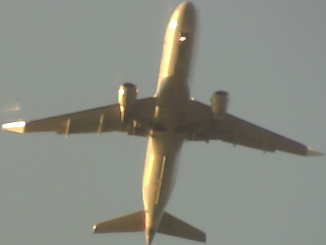 Airplane Picture