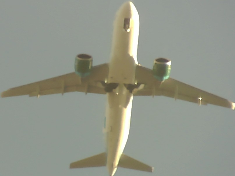 Airplane Picture