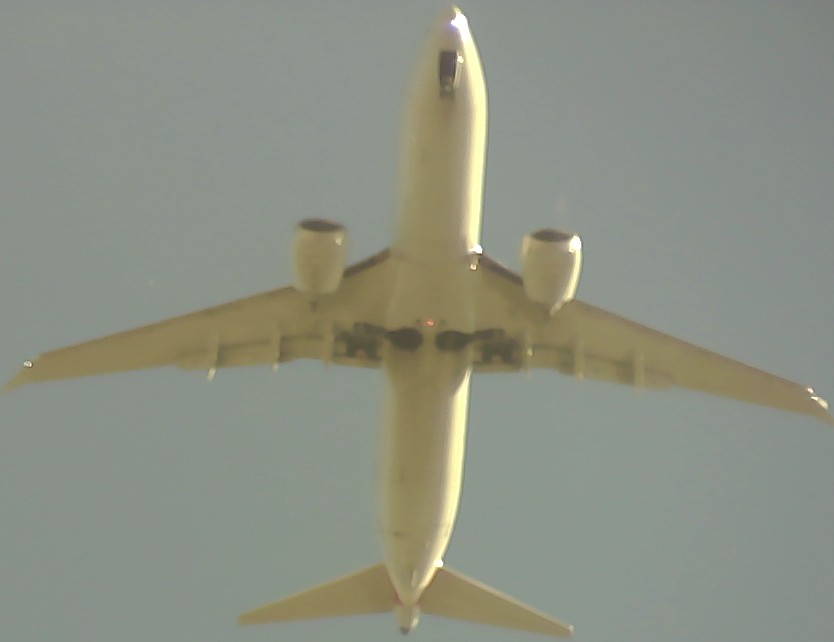 Airplane Picture